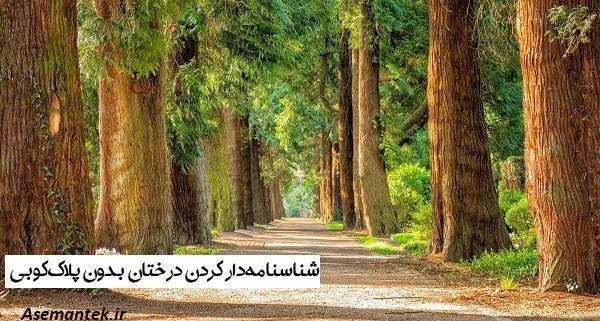 شناسنامه‌دار کردن درختان بدون پلاک‌کوبی
