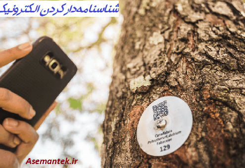 شناسنامه‌دار کردن الکترونیکی درختان