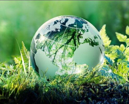 نقش پلاک کوبی درختان در حفظ محیط زیست