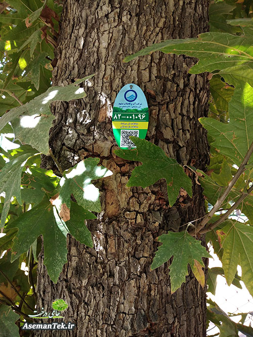 پلاک آلومینیومی درختان در شرکت آبفا مشهد